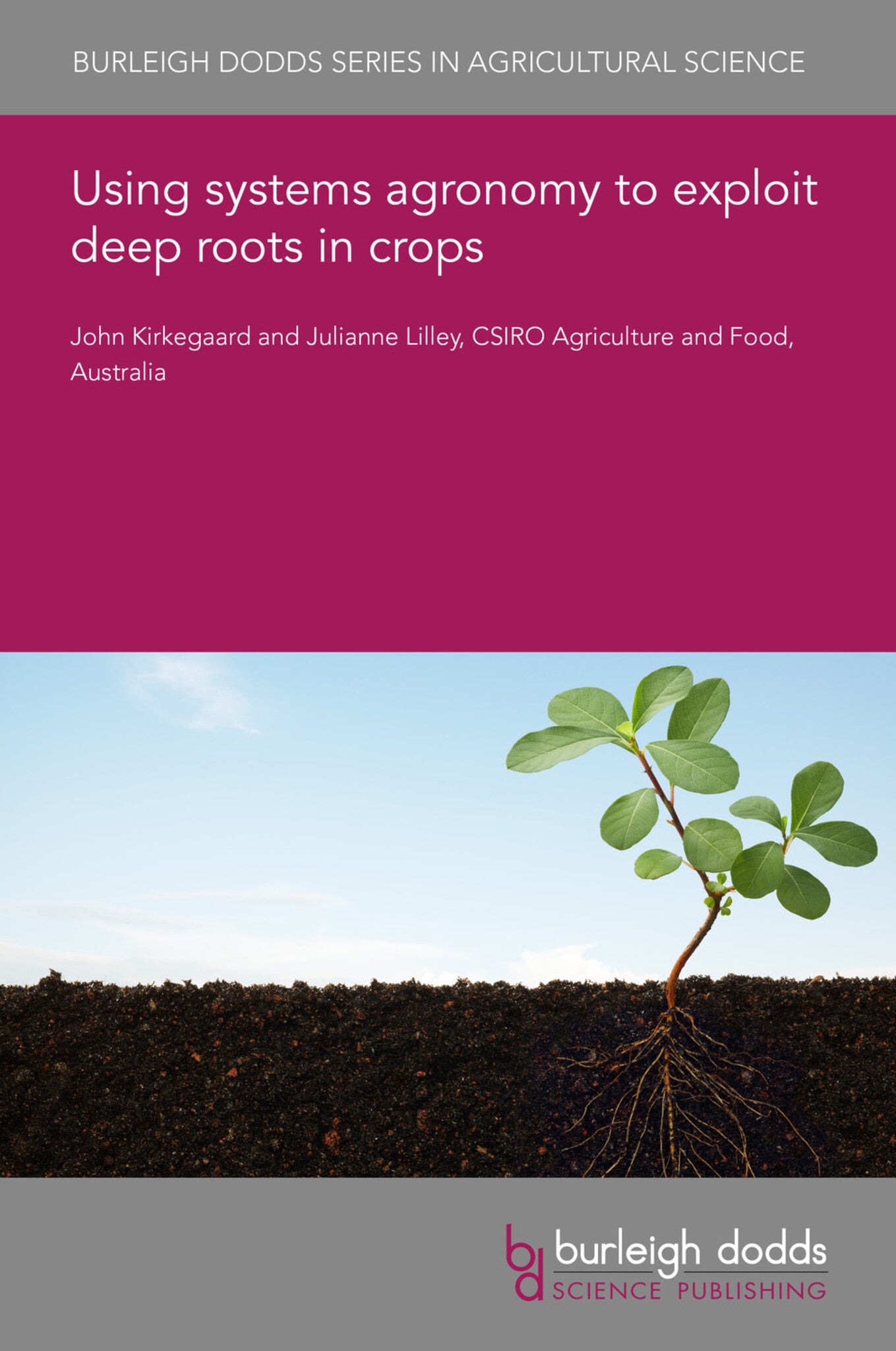 Cover image for Using systems agronomy to exploit deep roots in crops ISBN 9781801460057